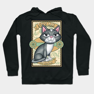 Beautiful Gray White Kitty Cat on Cats are Awesome Hoodie